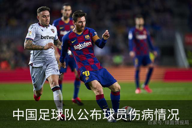 中国足球队公布球员伤病情况
