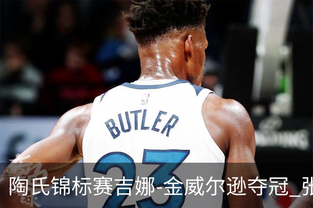 陶氏锦标赛吉娜-金/威尔逊夺冠 张维维/张雅惠T12